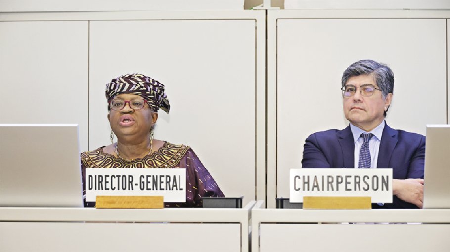 WTO examines proposals to deepen discussions on trade, environment