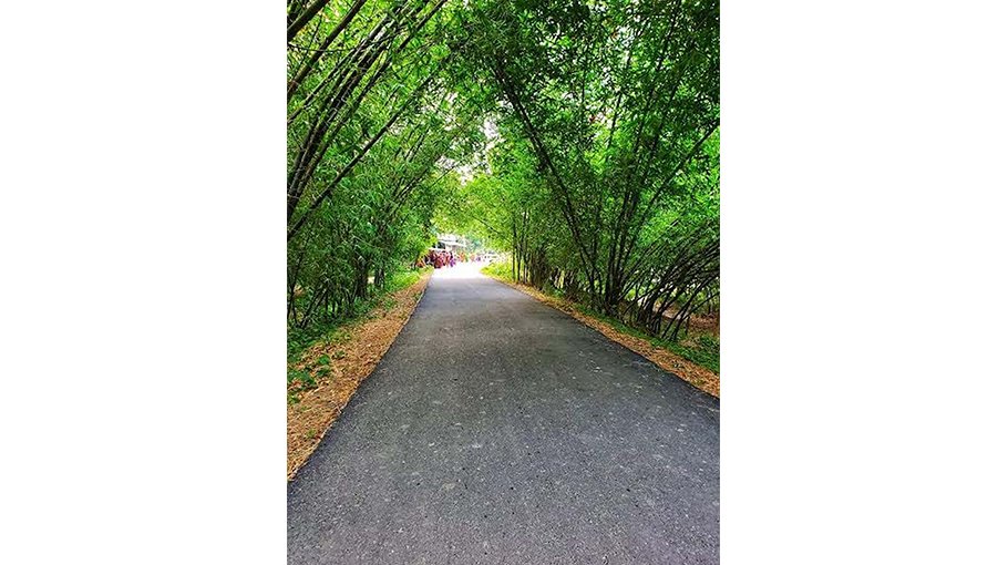 1,700km more rural roads being built in Rajshahi divn