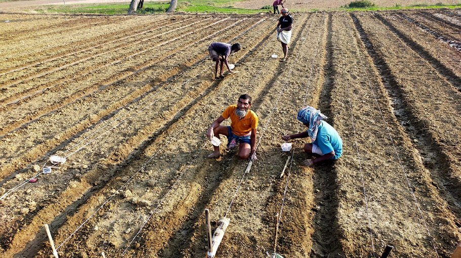 2.2 Lakh farmers to  get agri incentives