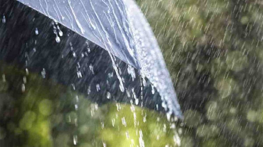 Light rain likely