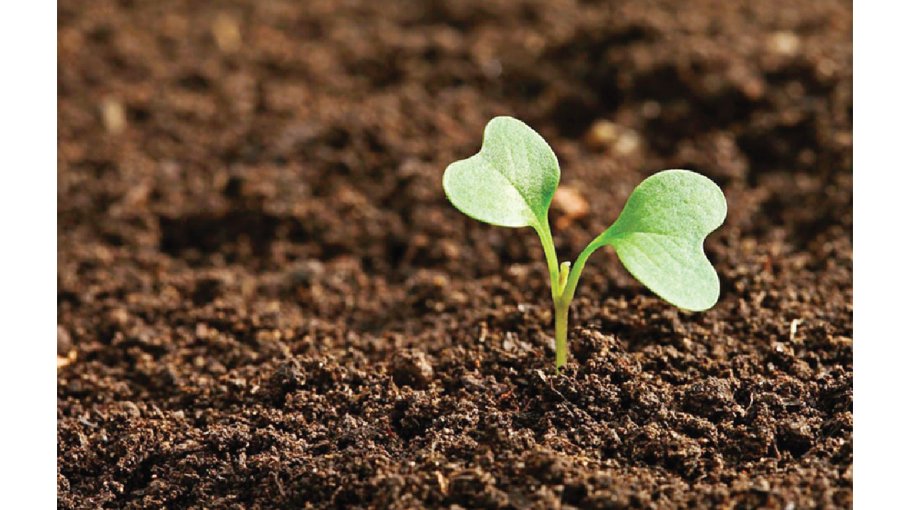 World Soil Day today 