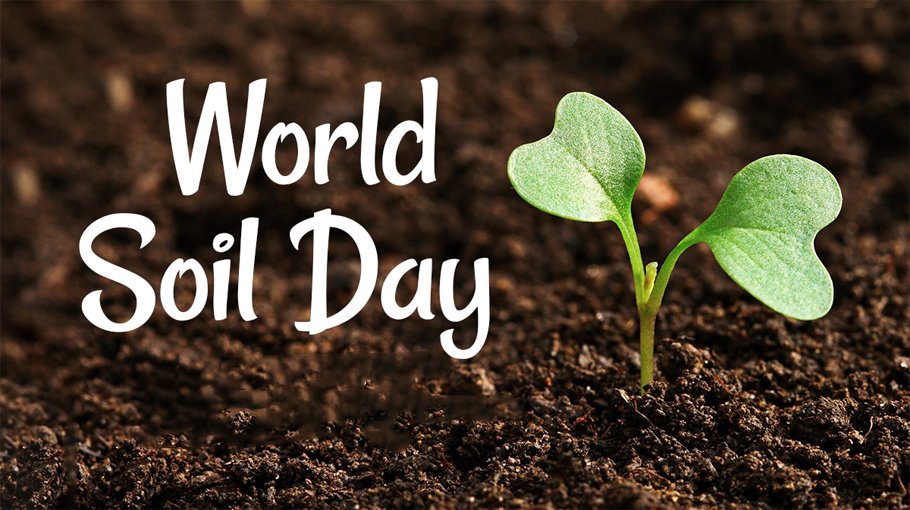 World Soil Day observed 