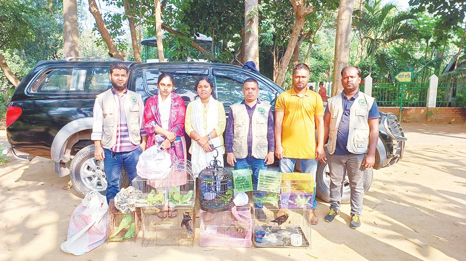85 wild birds seized, one held