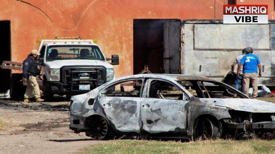 12 killed in attack on party in Mexico 
