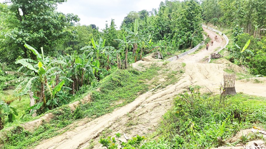 Lack of bridges hampers dev in CHT