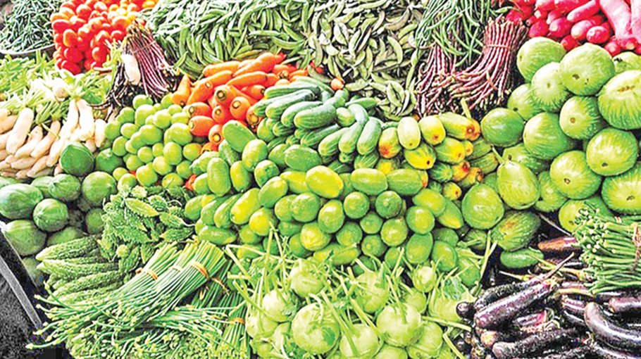Bumper vegetable yield cheers Manikganj farmers