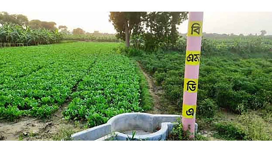 Irrigation thru subsurface channels 3.6 lakh tonnes additional crops