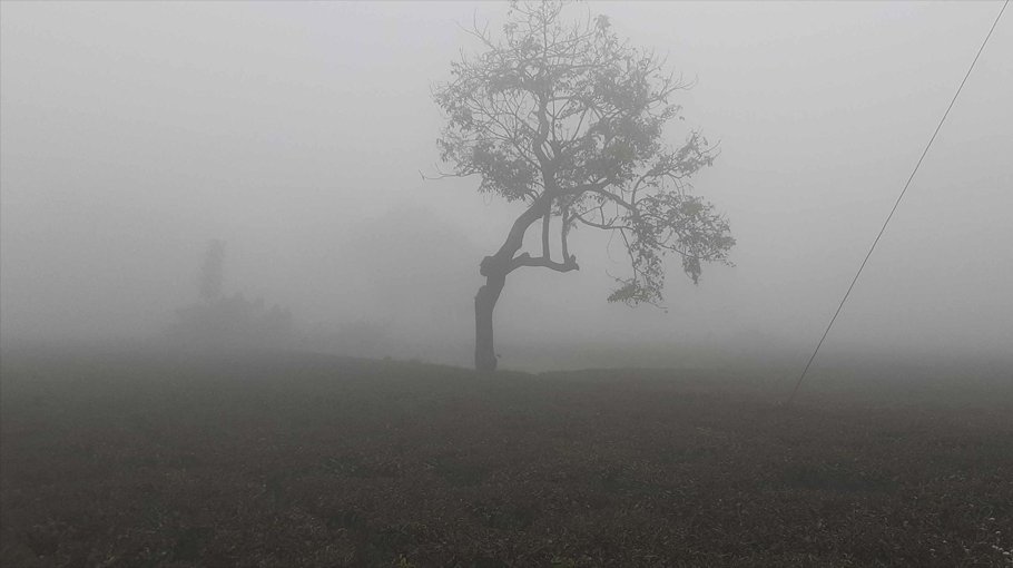 Mild cold wave sweeping  country