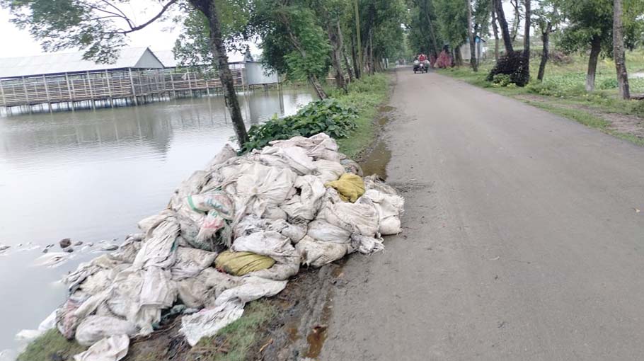 Use of poultry litter as fish feed threatens public health - Bangladesh ...