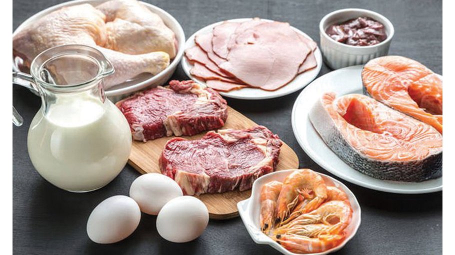 Govt plans to sell fish, meat, milk, egg at fair prices in Ramadan