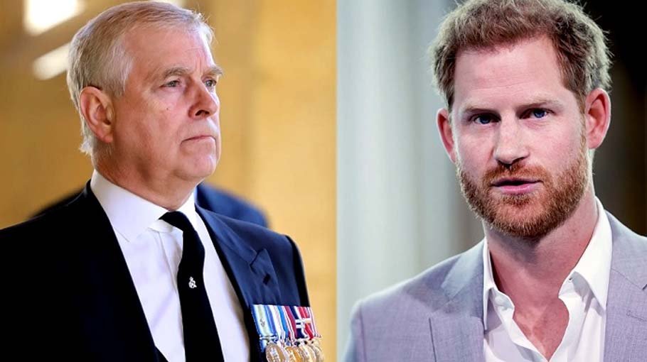 UK princes Harry and Andrew lose king stand-in role