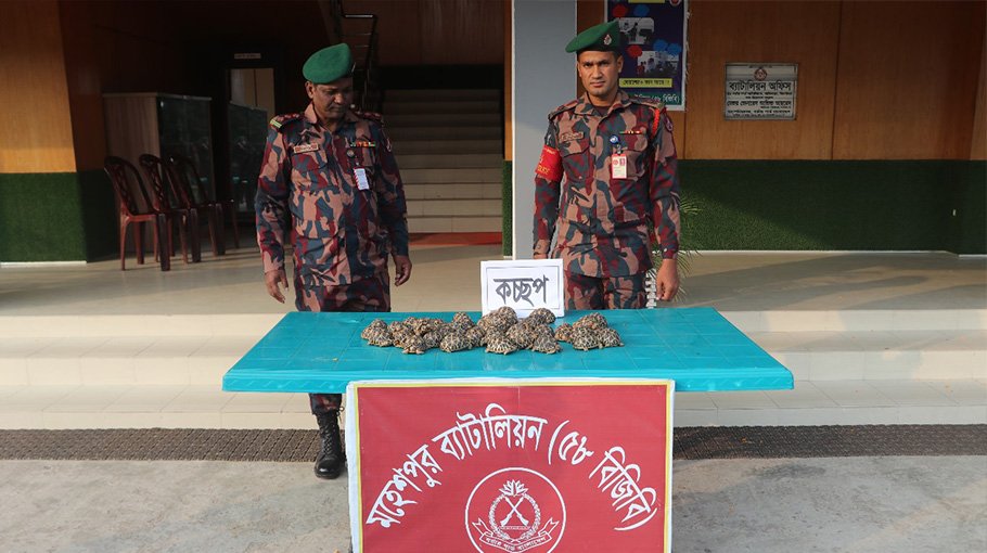 40 rare species of Indian tortoises seized 