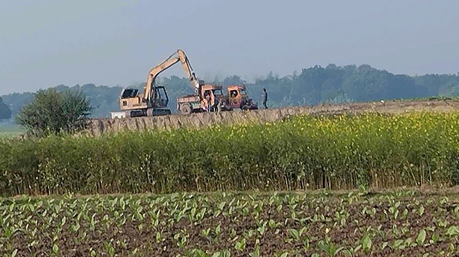 Illegal soil excavation poses threat to Kushtia agriculture