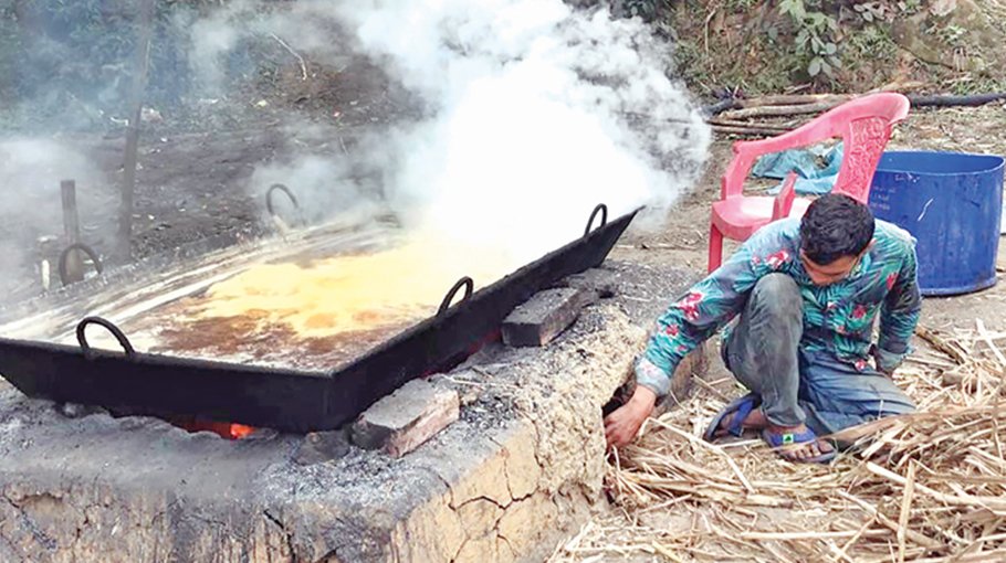 ‘Date molasses’ a winter delight for people