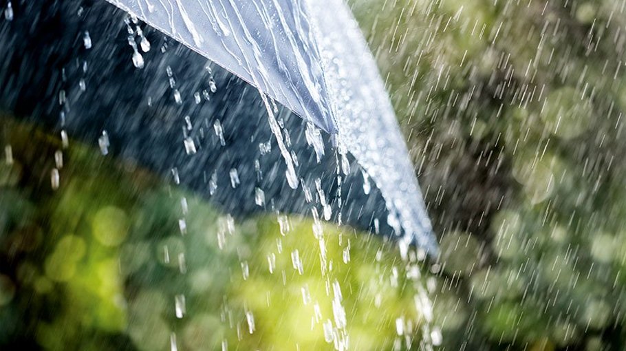 Light rain likely