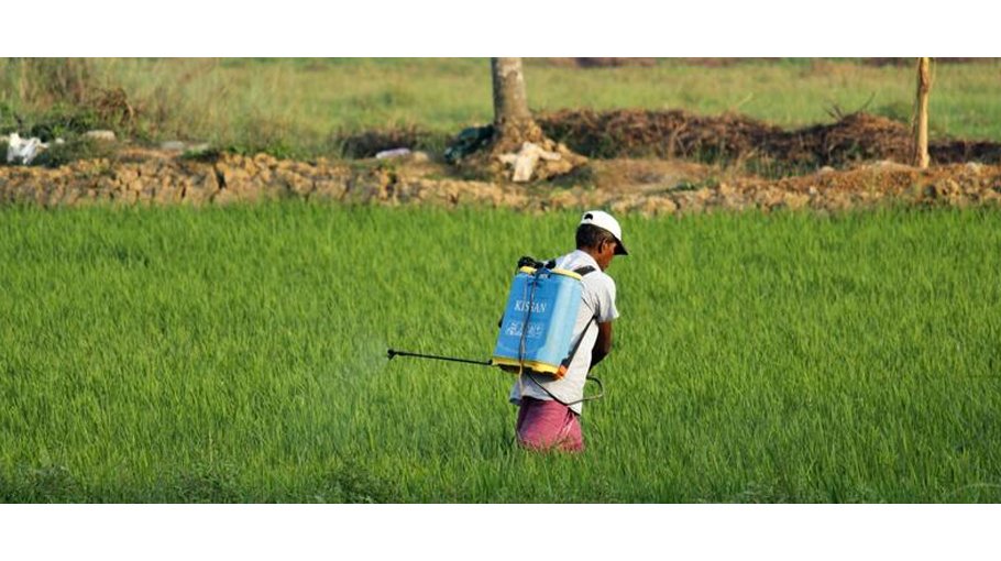 Training on environment friendly pest management held 