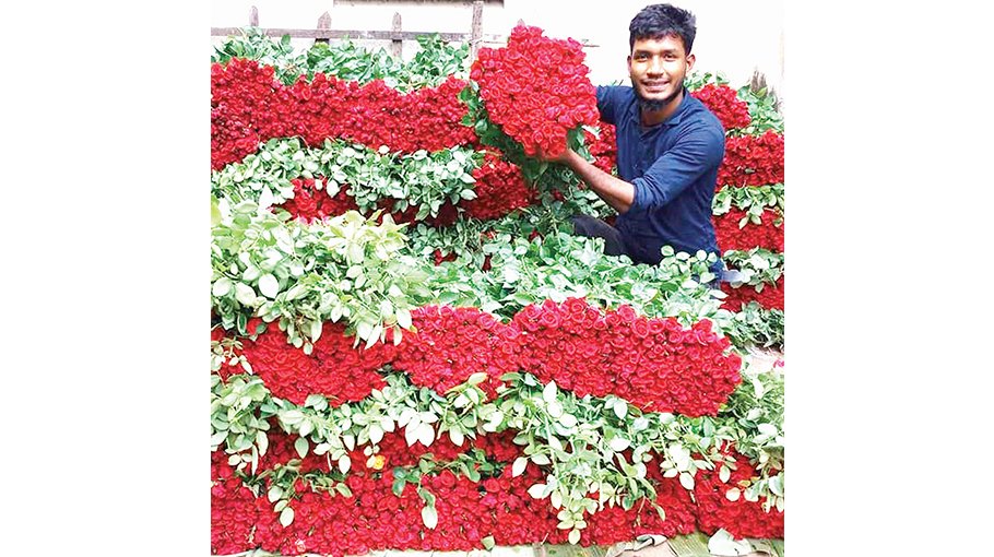Jashore flower growers eye Tk 70cr sale on Amar Ekushey, Falgun, Valentine’s Day