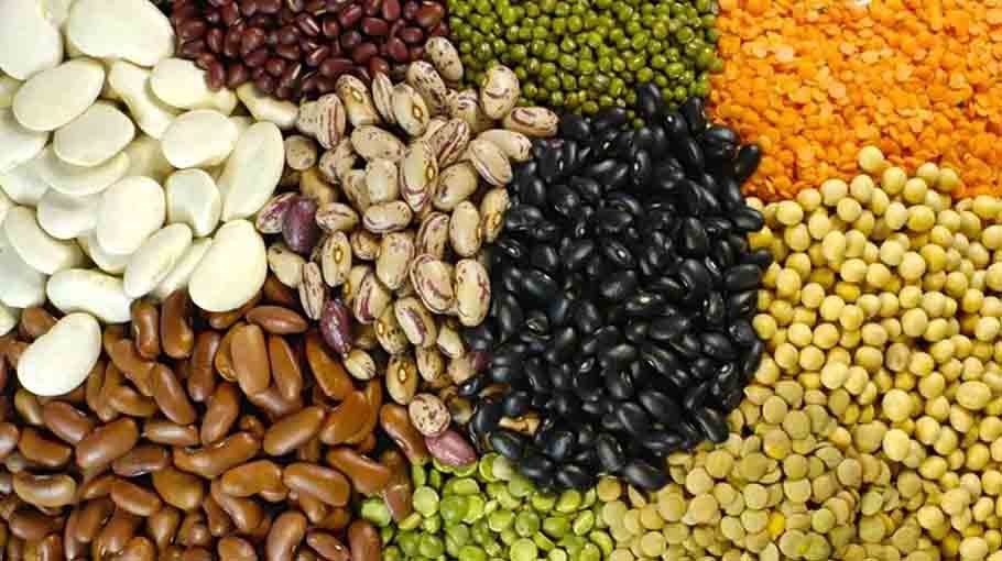 Agri Minister hails 4-fold rise in pulse production