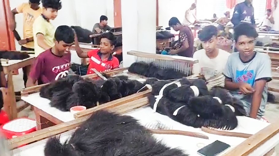 Chuadanga hair processing factories creat jobs for 20,000 families