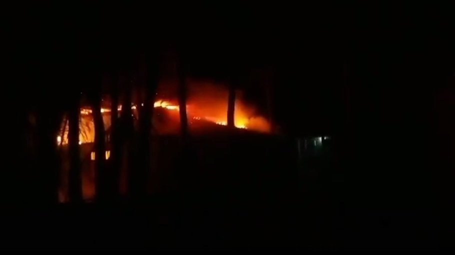 Elderly woman burnt alive   in Noakhali