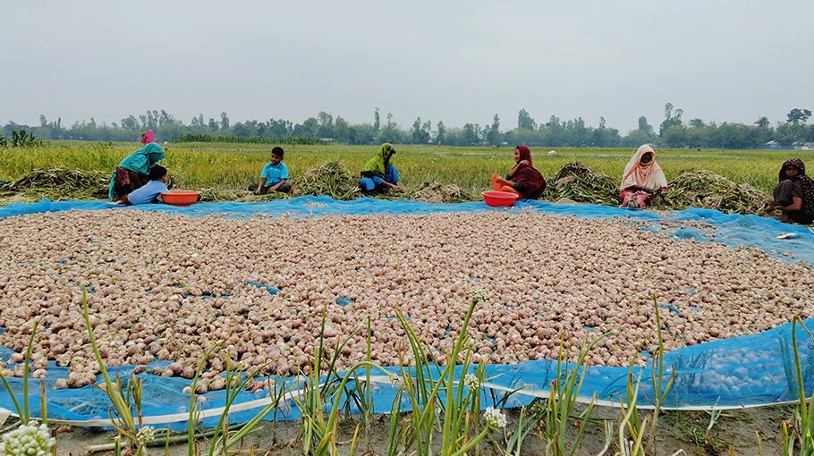 Marginal farmers of Ulipur  deprived of govt incentives 