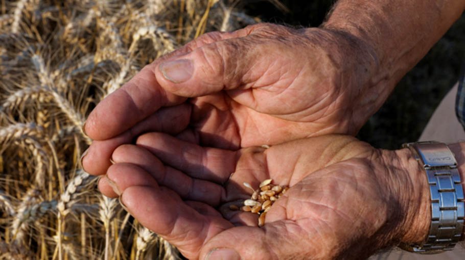 Can Asia be relied on to ensure global food security?