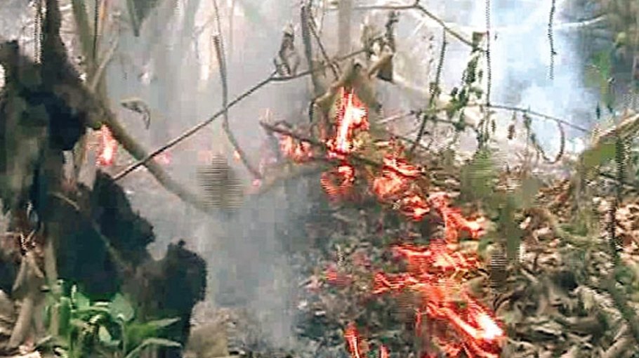 Probe committee formed over Sundarbans fire