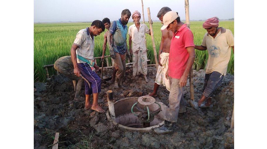 Water crisis hampers Boro cultivation in Pabna
