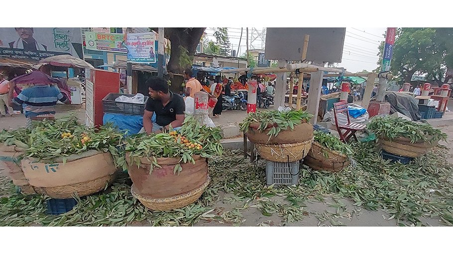 Immature lychees being sold in Chuadanga