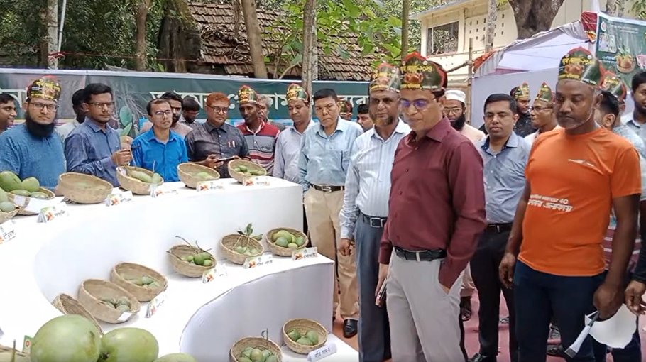 Mango fair opens in Satkhira