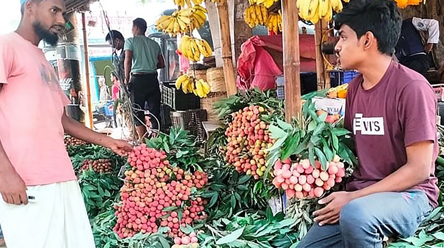 Litchi floods Dinajpur mkt, prices too high 