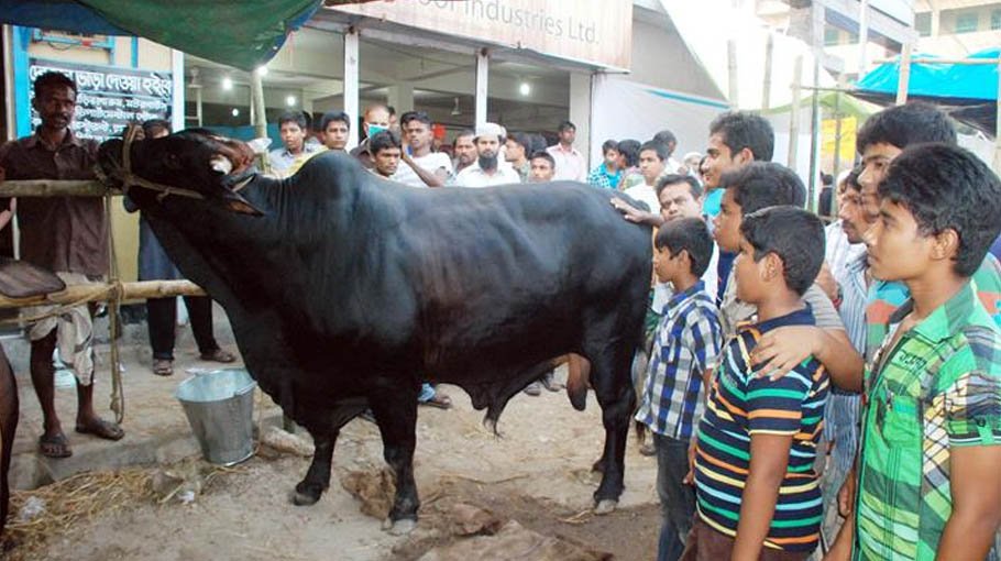 Dope gang members active in Jibannagar cattle market 