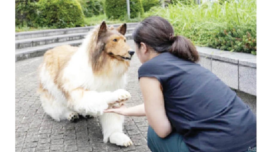 Japanese man who turned himself into a dog