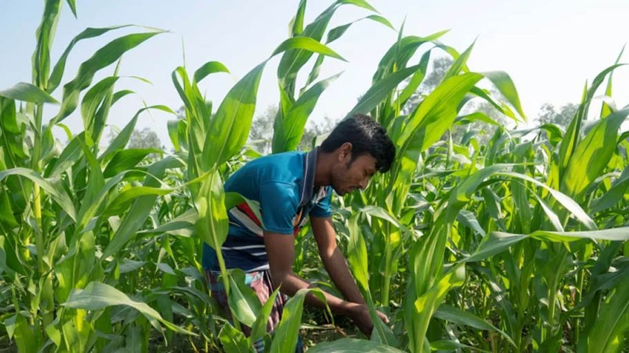 StanChart, Friendship to provide 2,500 farmers with farm-to-market support