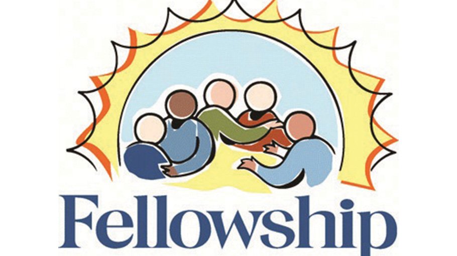 NIB offers fellowships for advanced Biotechnology studies