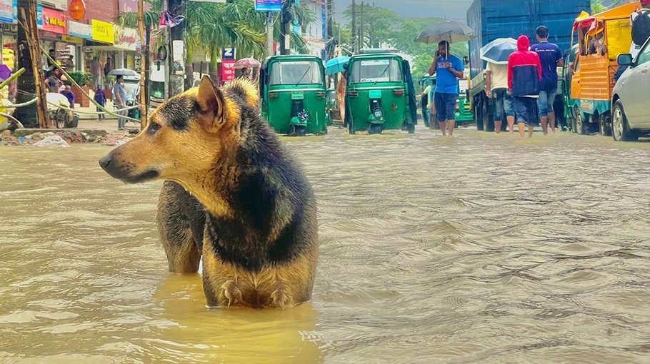 Flash flood looms as downpour   continues in Sylhet