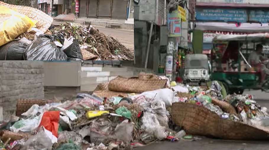 DSCC yet to remove animal waste 