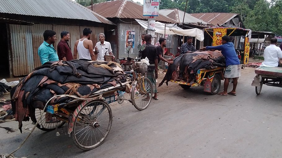 Low prices frustrate seasonal rawhide traders in Chatmohar