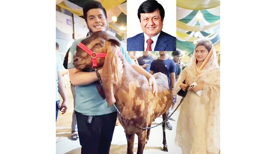 ‘Goat Ifat’ trying to sell cars and move to Canada