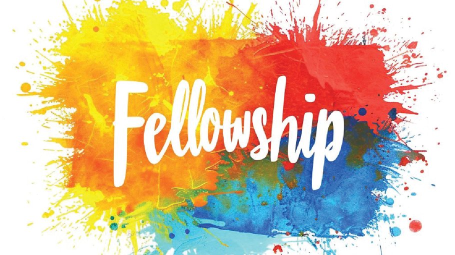 NST fellowship opens for 2024-25