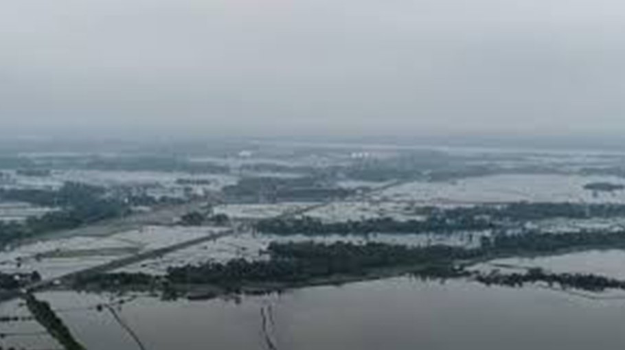 ‘Remal’ damages crops worth  Tk 180.24cr in Khulna agri-zone
