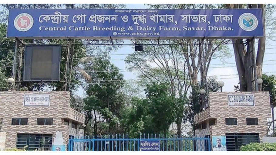 ACC raids state-owned farm in Savar