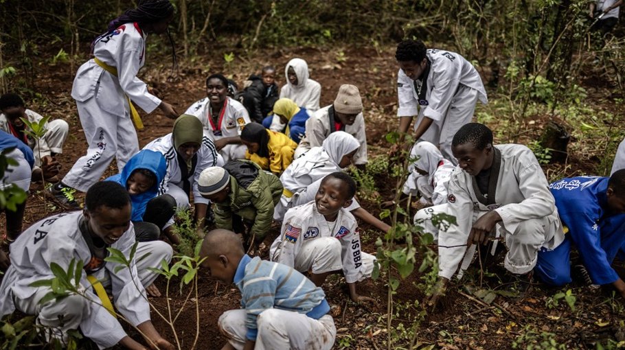 African leaders urge UN to prioritise tree planting drive