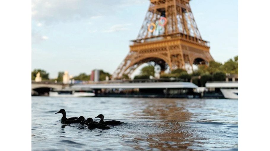 Seine pollution, men’s triathlon postponed