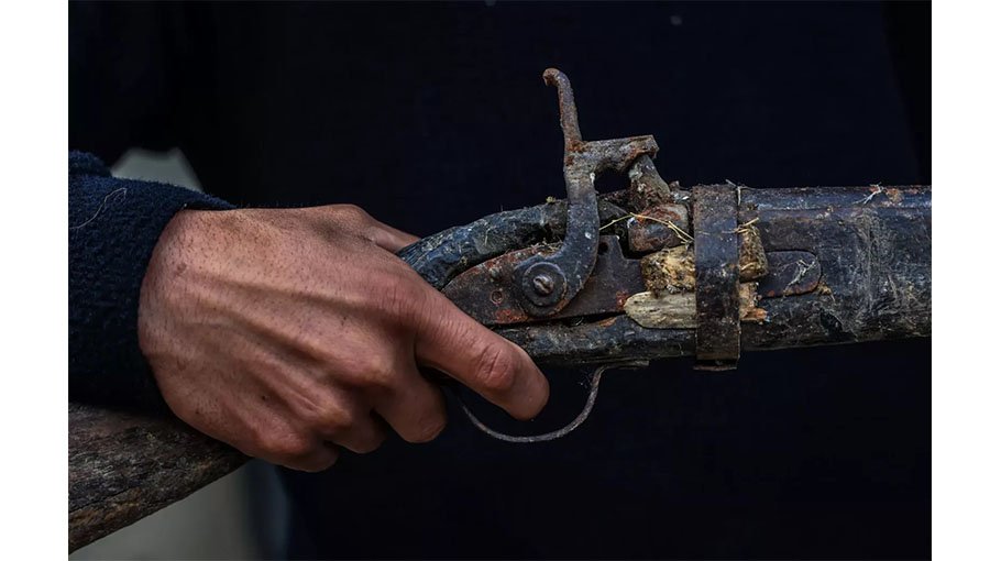 Wildlife and weapons trafficking converge in Southeast Asia