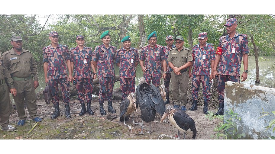 Four Madan Tak birds released into Sundarbans in Satkhira