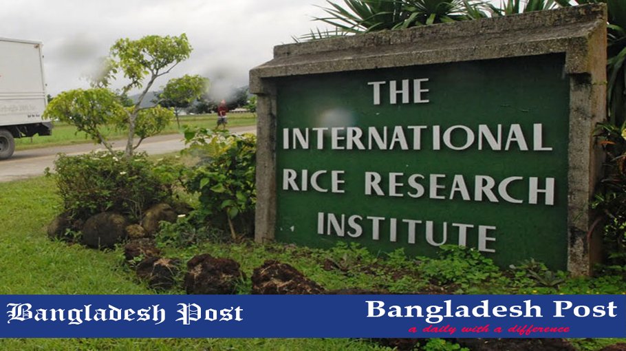 IRRI Job Circular 2024 – www.irri.org