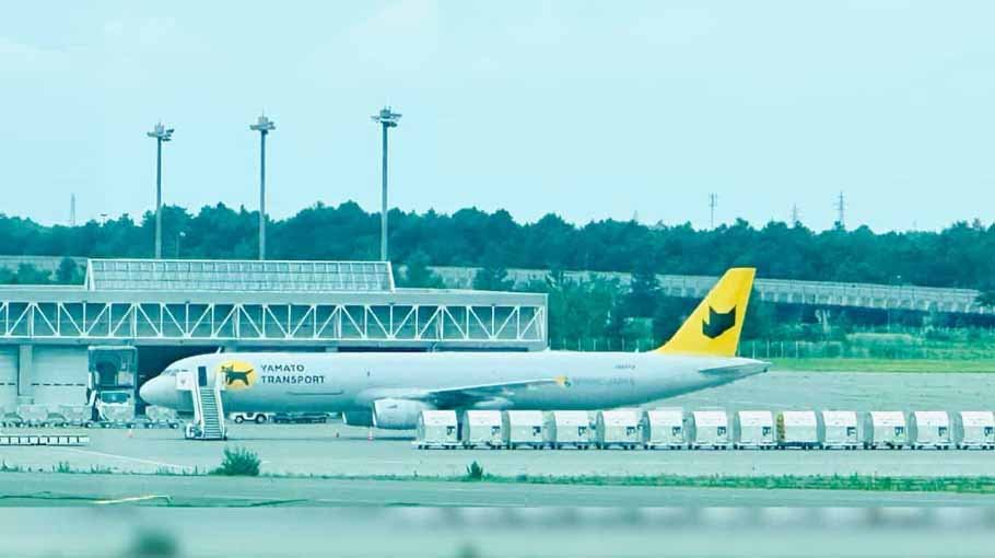 Flights cancelled in Japan after scissors go missing