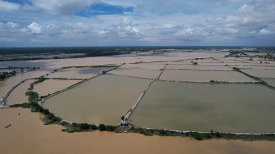 Fisheries, poultry sectors suffer huge losses in flood-hit areas