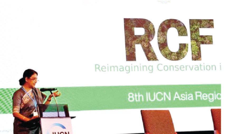Rizwana calls for collective global efforts to protect  environment